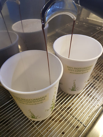 biodegradable takeaway coffee cups